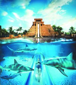 Comfort Suites Paradise Island